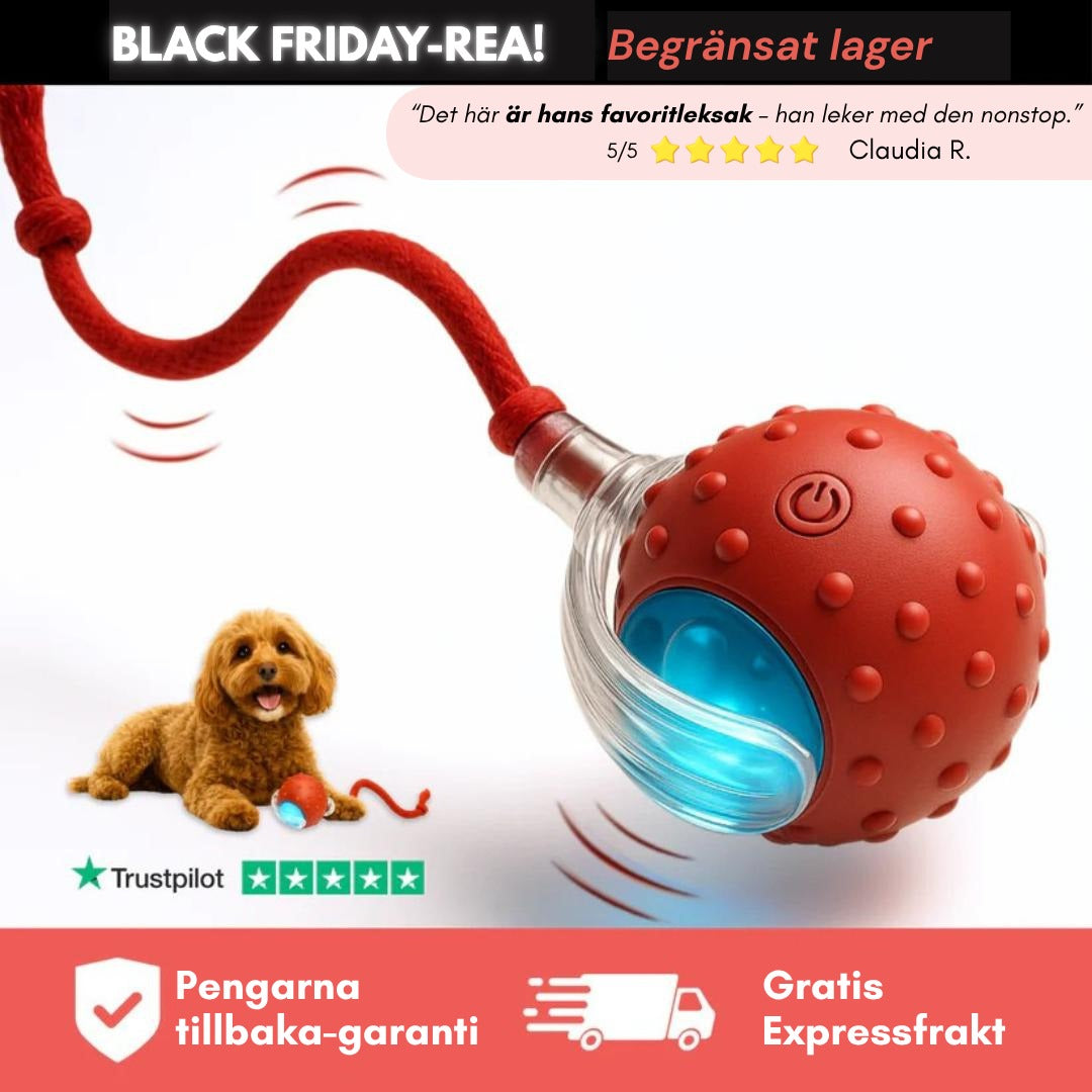 Befez | PawTail | Fast Drying Dog Coat Water Resistant