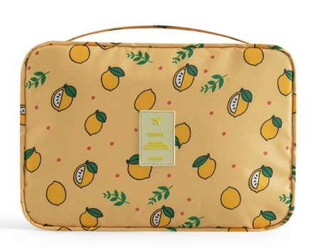 Portable Travel Toiletry Bag with Hook and Padded Protection