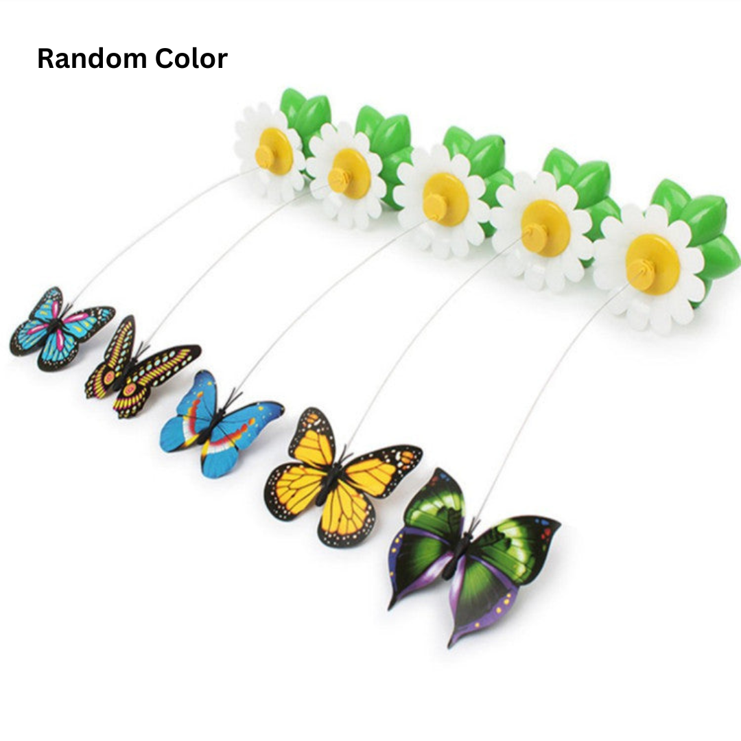 Colorful Interactive Cat Toy Befez
