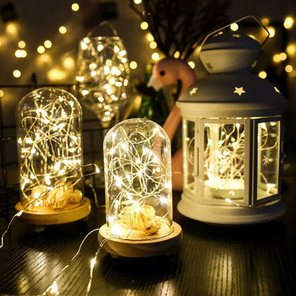 Outdoor Solar Powered Fairy String Lights Waterproof LED
