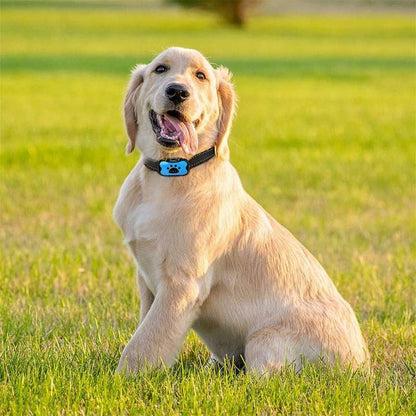 Effective No Bark Dog Collar