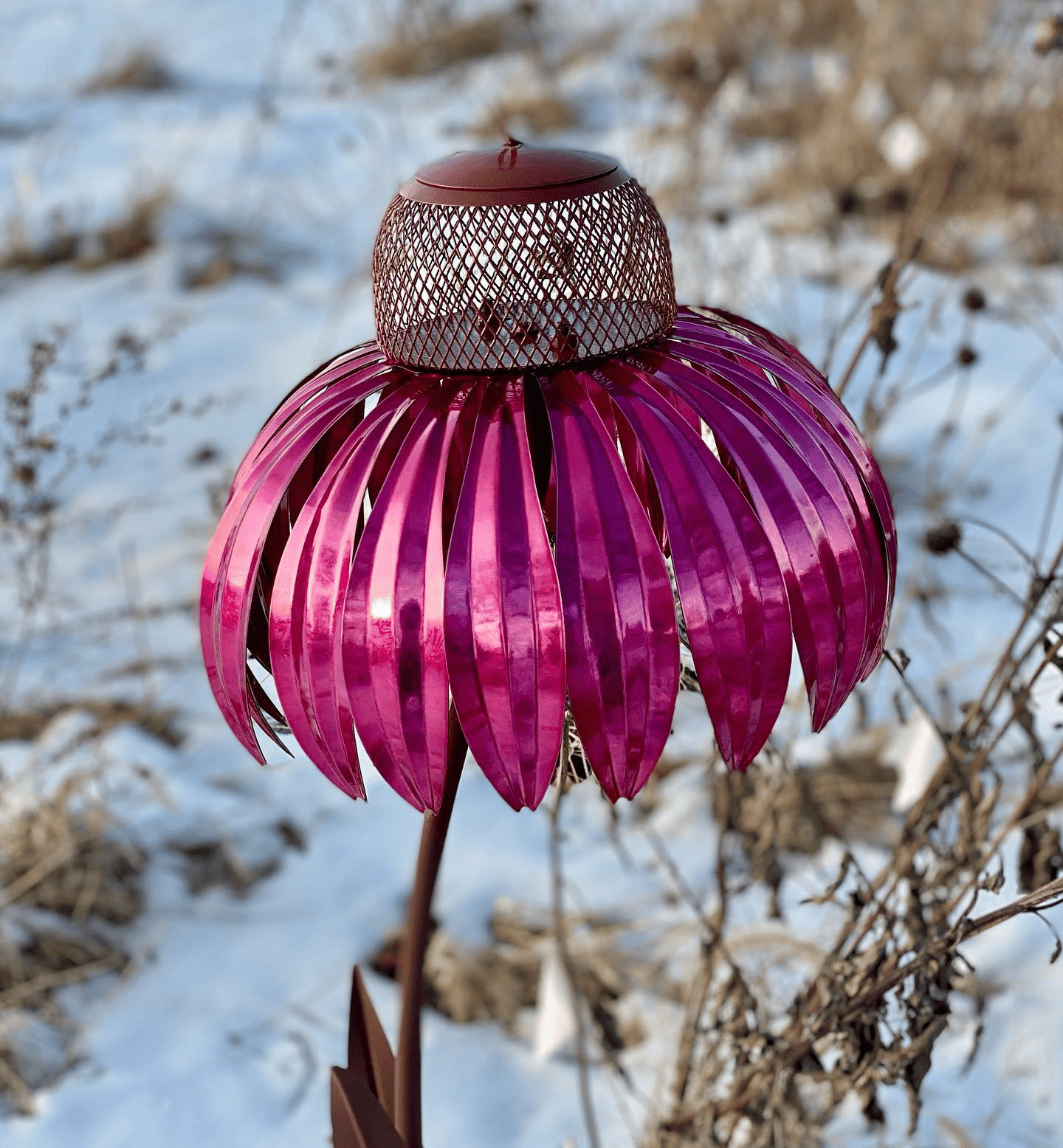 Colorful Bird Feeder with Free Flower Seeds