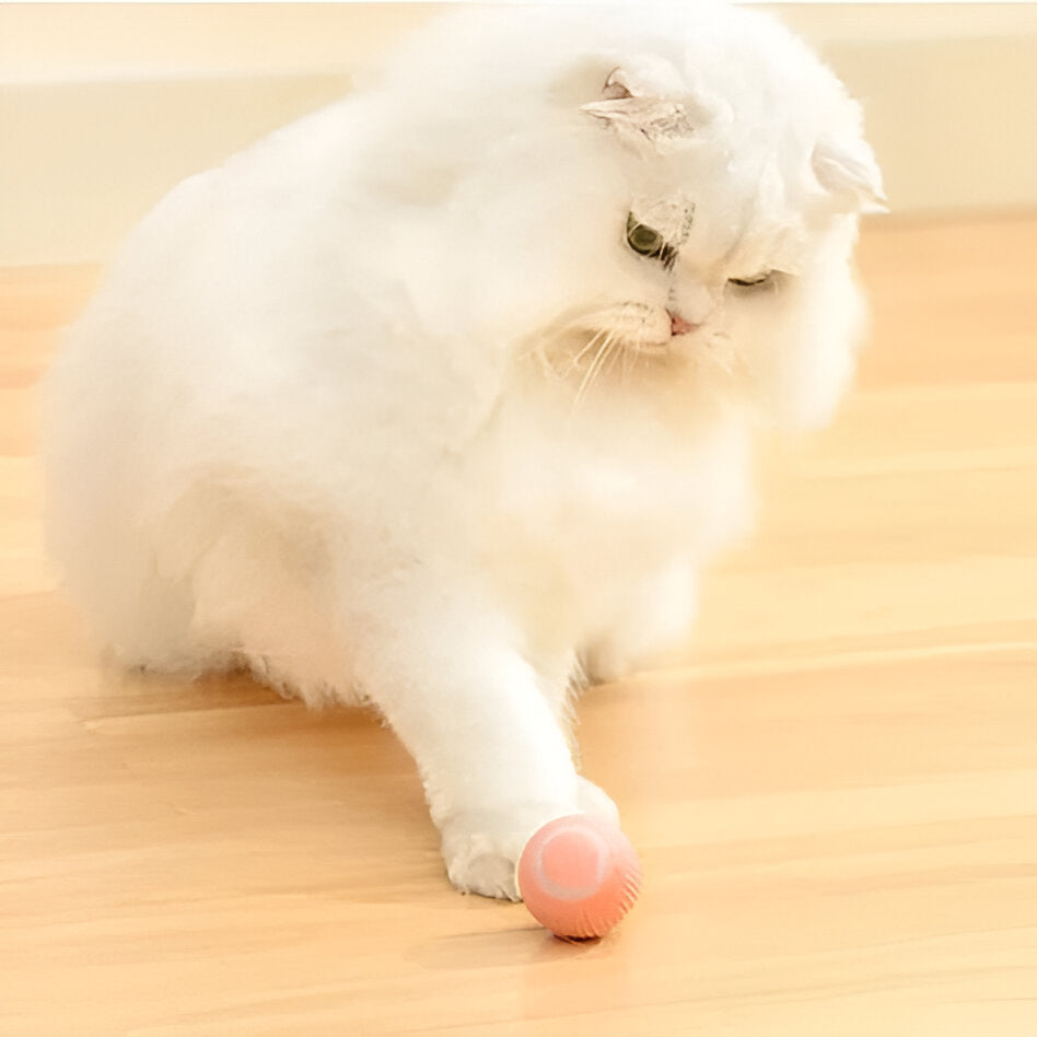 Dual Action Feather Teaser Cat Toy