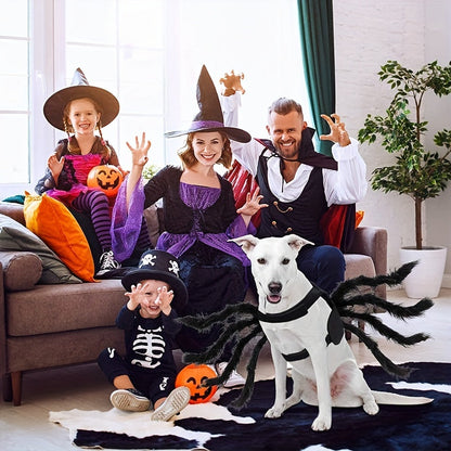 Cute Pet Spider Dog Halloween Costume