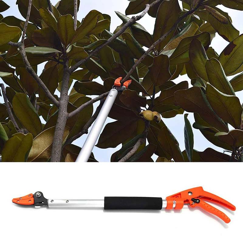 Easy Reach Hedge Cutting Tool - Befez