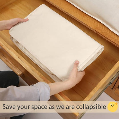 Compact Storage Organizer Box