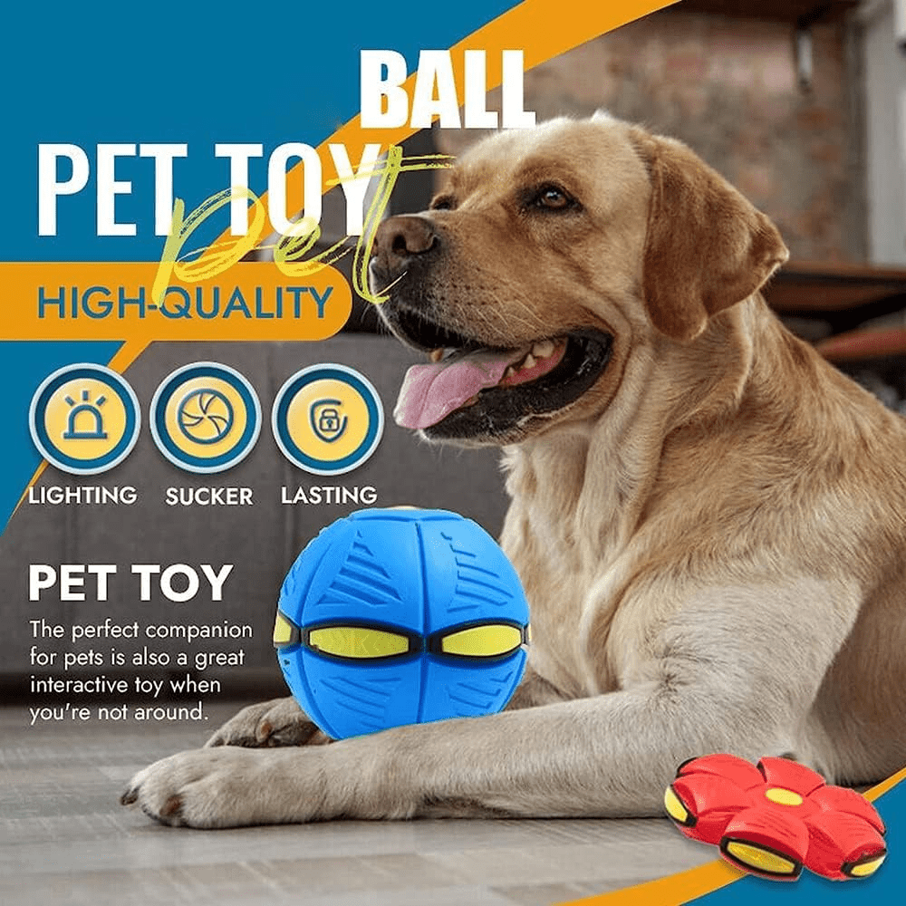 Fun Interactive Dog Toy - Befez