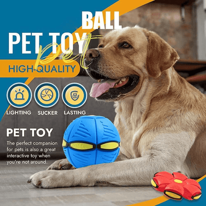 Fun Interactive Dog Toy - Befez