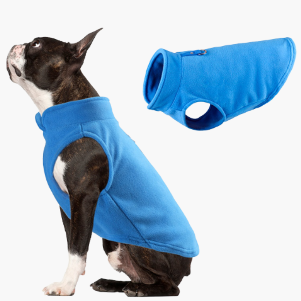 Warm Waterproof Pet Coat - Befez