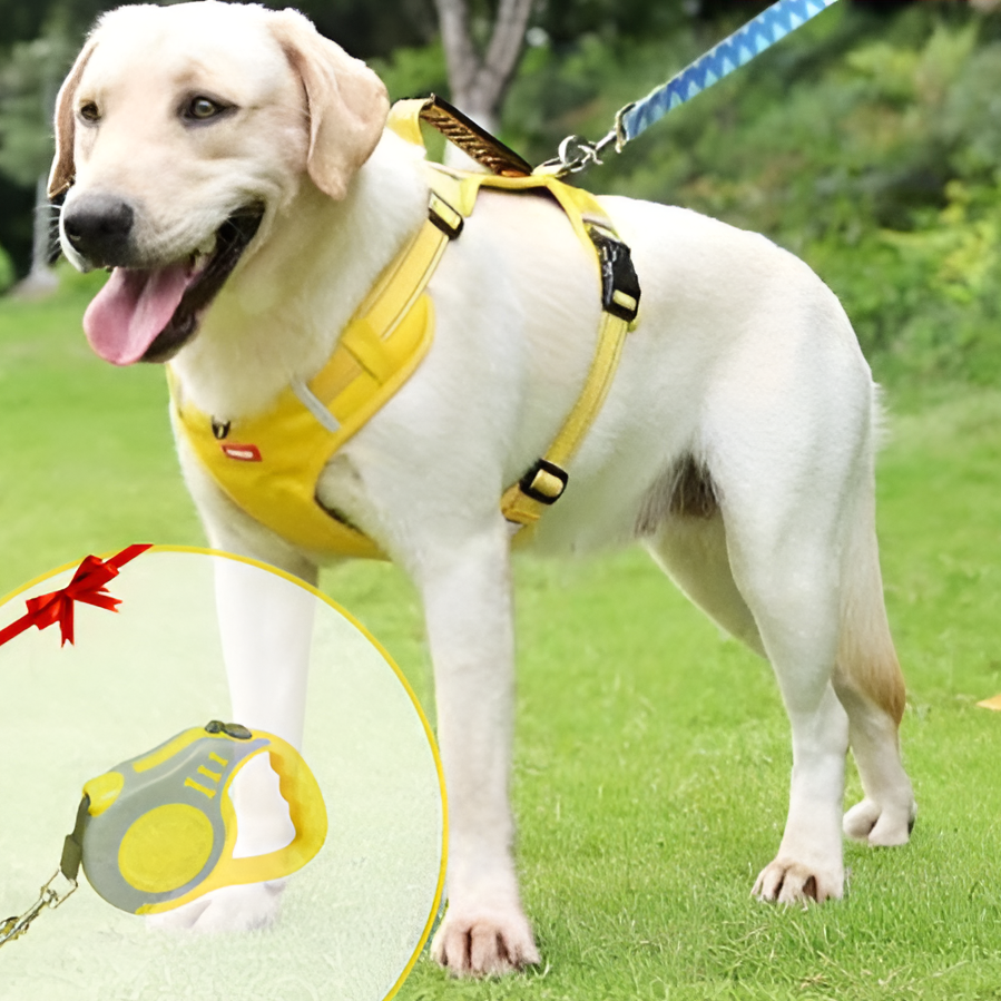 Comfortable Adjustable Pet Harness