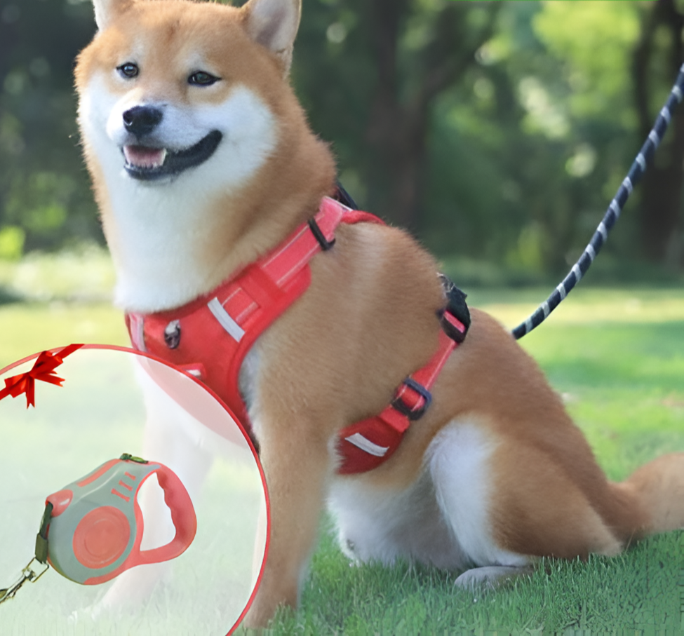 Comfortable Adjustable Pet Harness