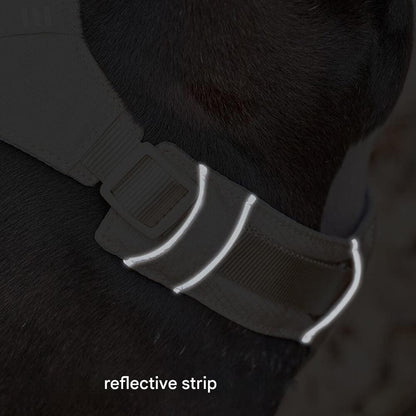 Comfortable Dog Harness with Adjustable Leash System