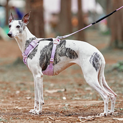 Comfortable Dog Harness with Adjustable Leash System