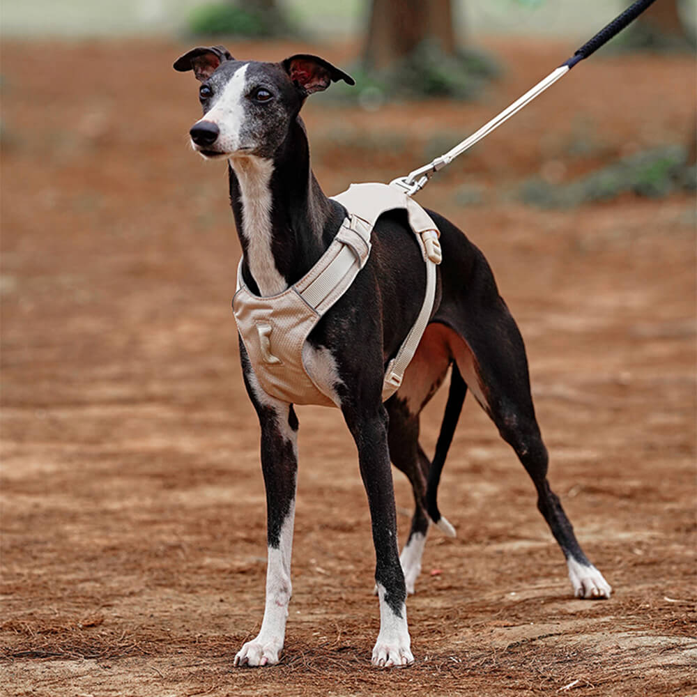 Comfortable Dog Harness with Adjustable Leash System - Befez