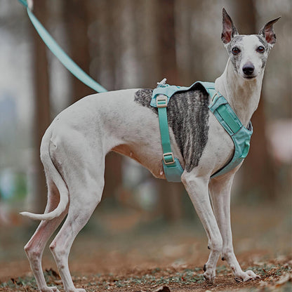Comfortable Dog Harness with Adjustable Leash System