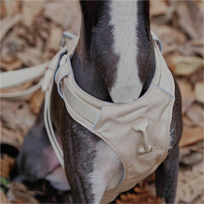 Comfortable Dog Harness with Adjustable Leash System