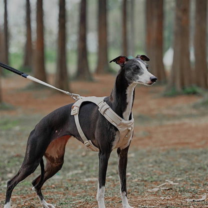 Comfortable Dog Harness with Adjustable Leash System