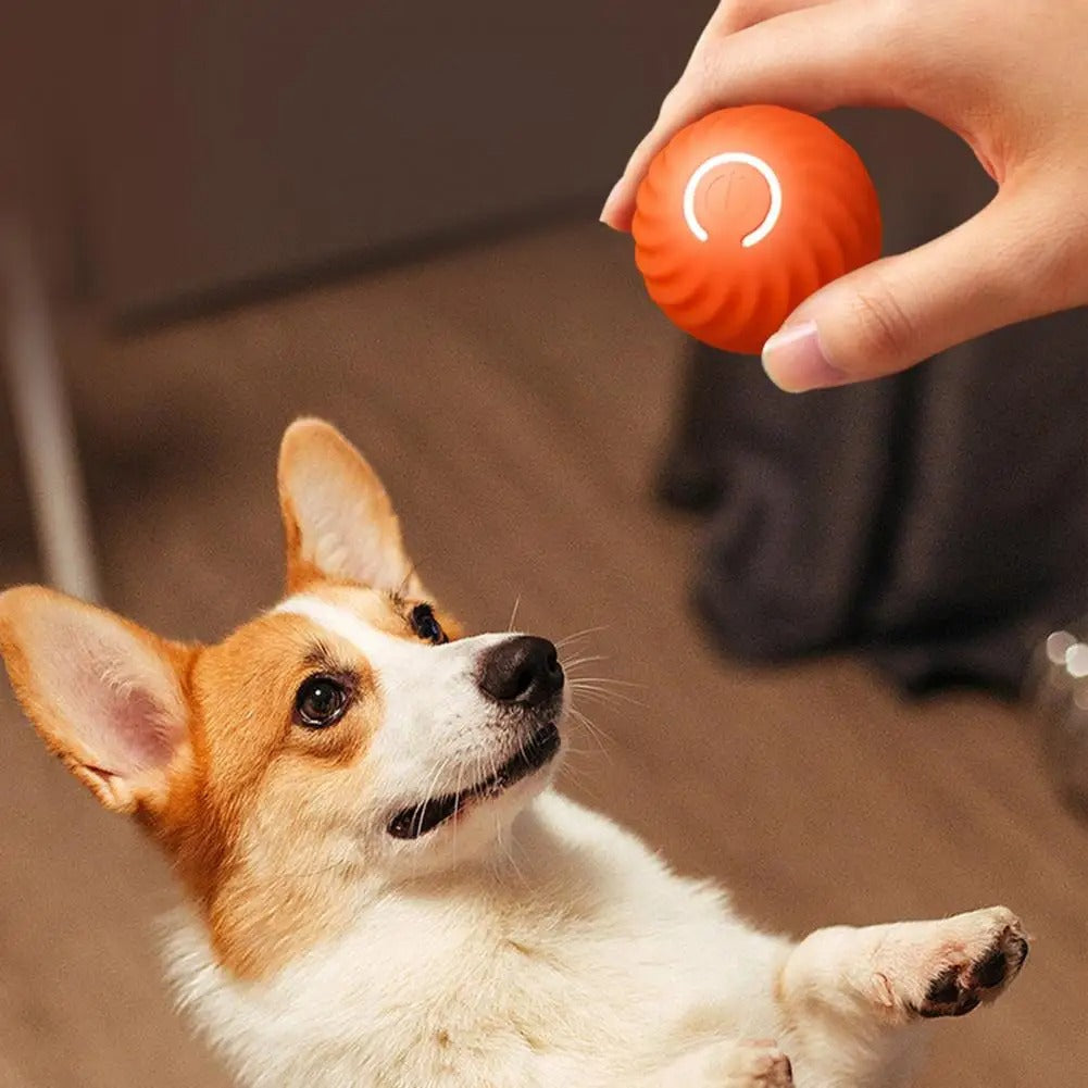 Fun Electronic Pet Toy RolliPlay