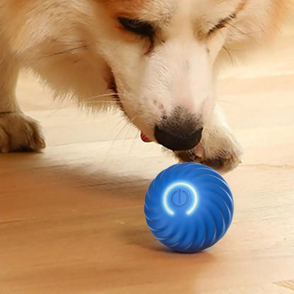 Fun Electronic Pet Toy RolliPlay - Befez