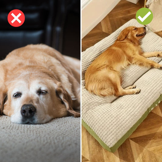 Comfy Dog Bed for Calming Sleep - Befez