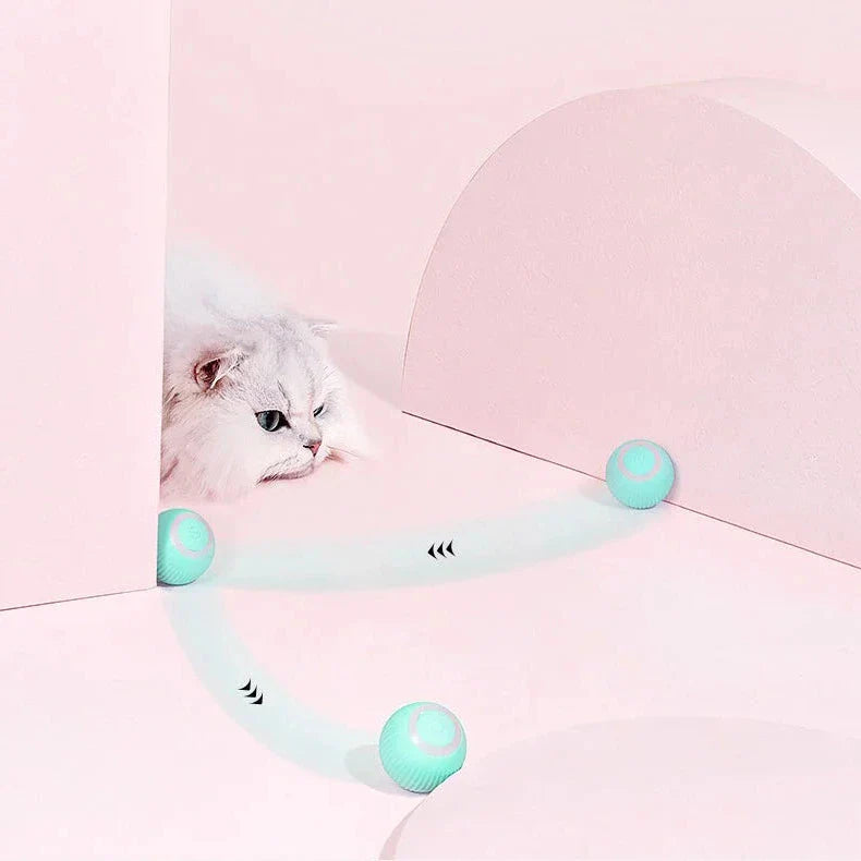 Dual Action Feather Teaser Cat Toy