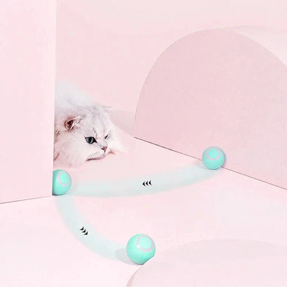 Dual Action Feather Teaser Cat Toy