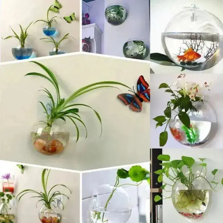 Stylish Wall Art WonderGlass for Modern Homes