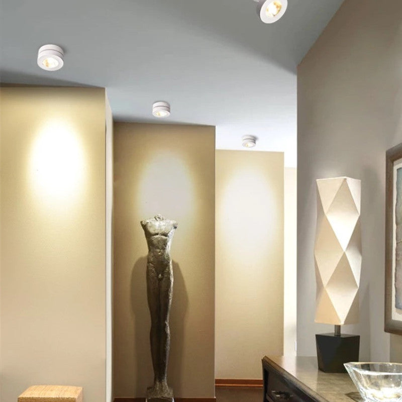 Modern Metal Ceiling Spot Light