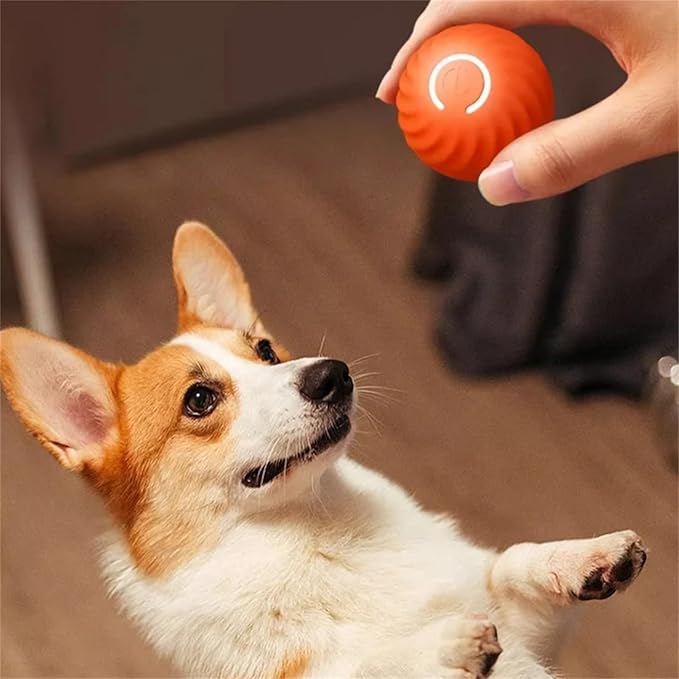Befez | Electronic Pet Ball - Automatic Rolling Toy - Befez