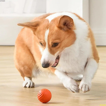Befez | Electronic Pet Ball - Automatic Rolling Toy
