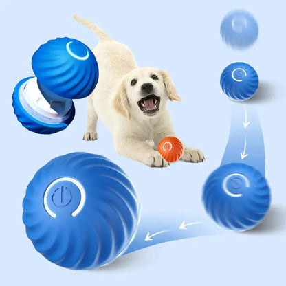 Befez | Electronic Pet Ball - Automatic Rolling Toy