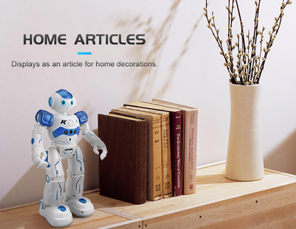 Smart RC Robot Toy