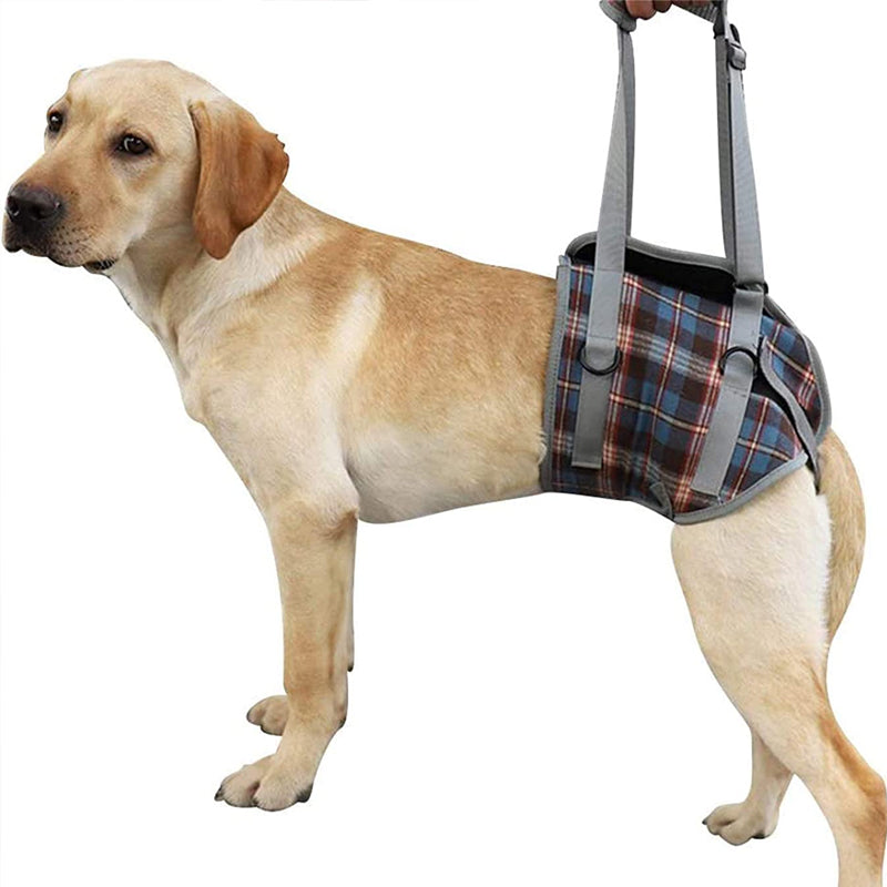 Supportive Dog Leg Brace Strap