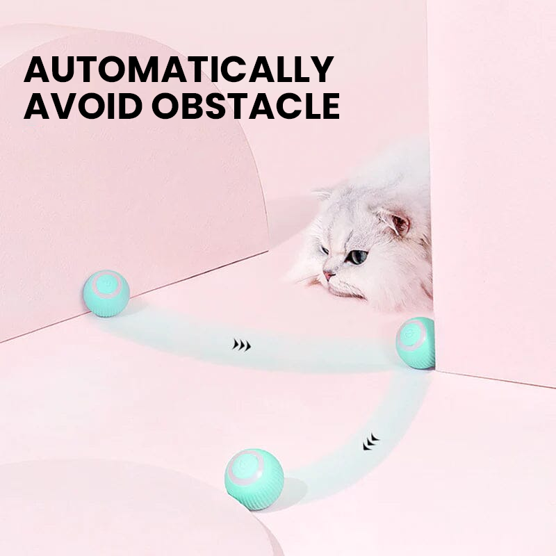 Dual Action Feather Teaser Cat Toy