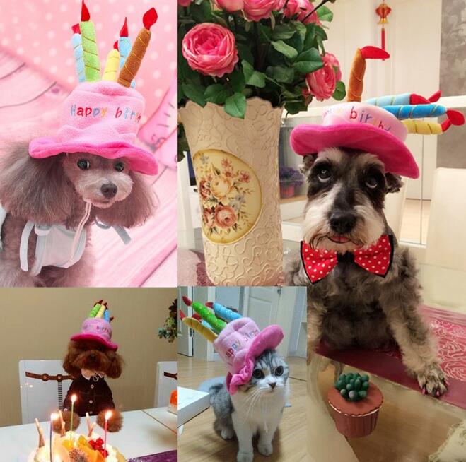 Fun Pet Party Animal Hat
