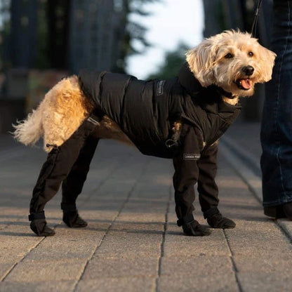 Waterproof Hiking Boots for Men