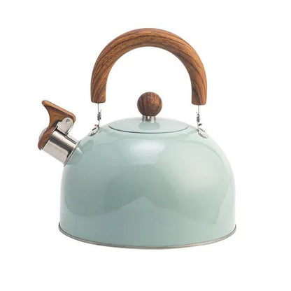 Premium Stainless Steel Large Whistling Kettle - Befez