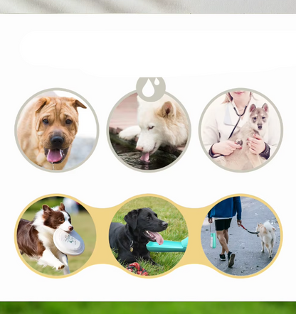 Portable Pet Water Bottle - Leakproof 550ml Travel Cup