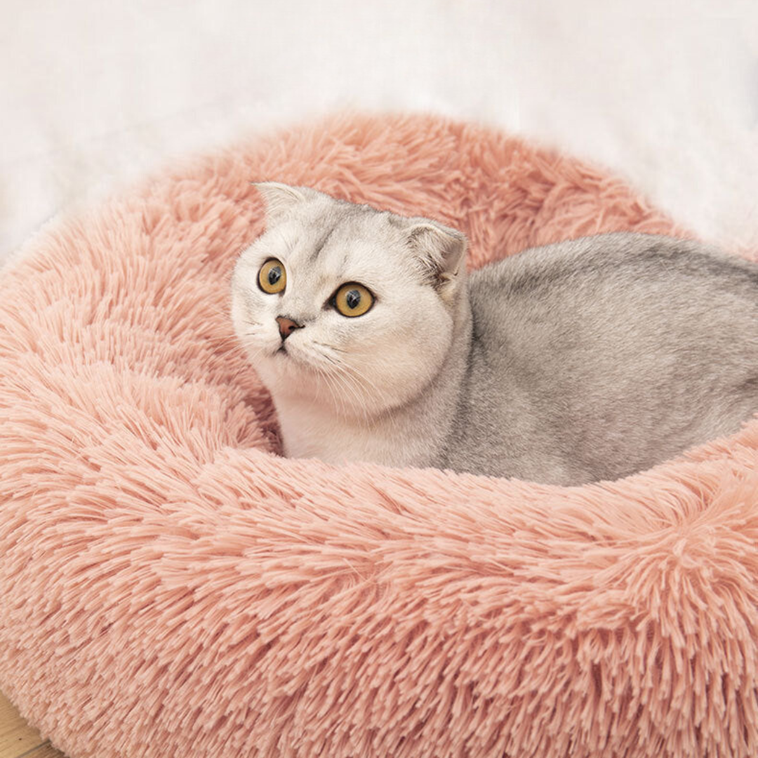 Plush Kitty Pet Bed Cushion