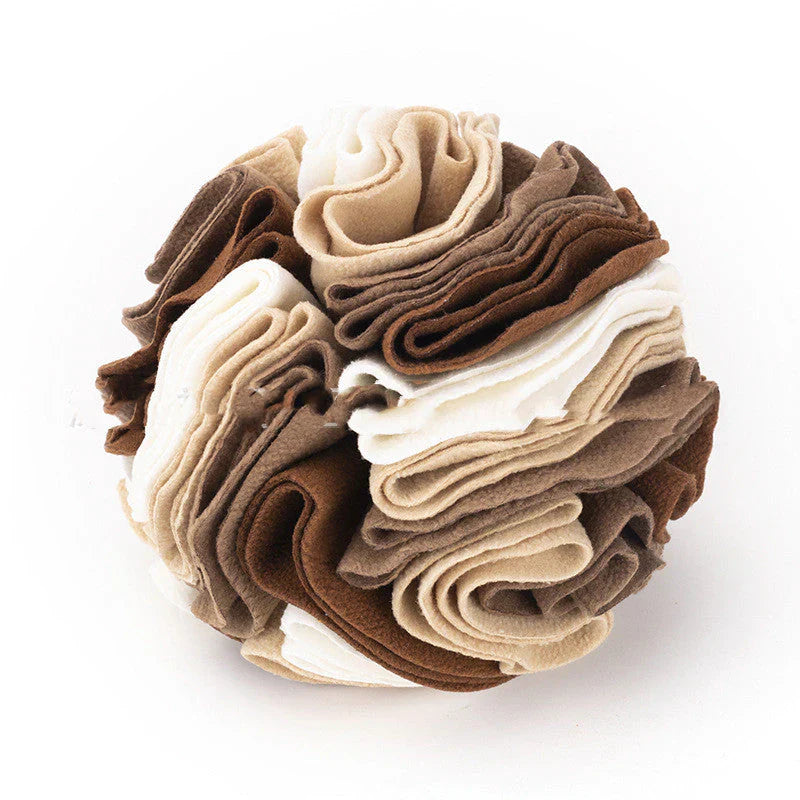 Fun Scented Ball Toy for Dogs