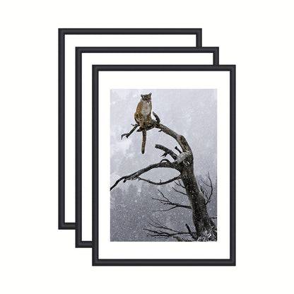 Set of 3 Modern Black Picture Frames