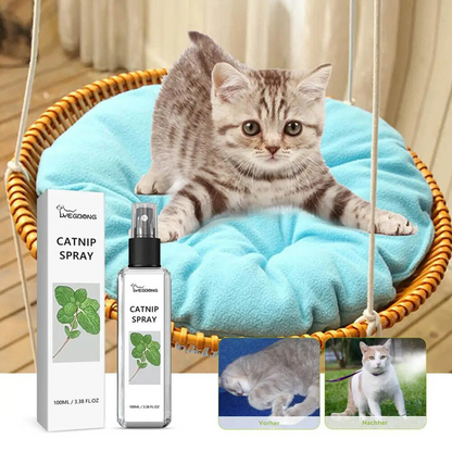 Soothing Cat Calming Spray - Befez