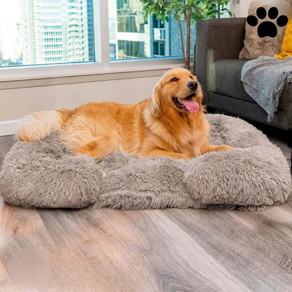 Comfortable Pet Bed with Orthopedic Foam