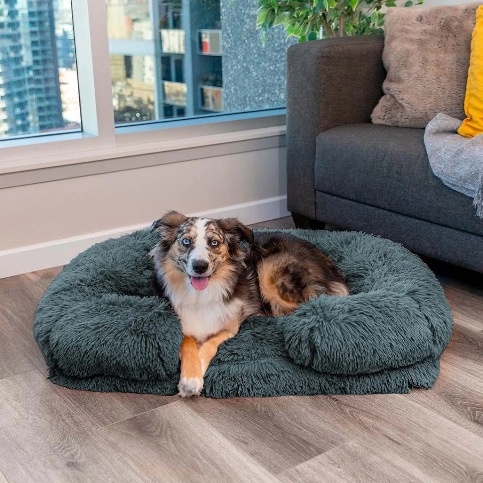 Comfortable Pet Bed with Orthopedic Foam - Befez