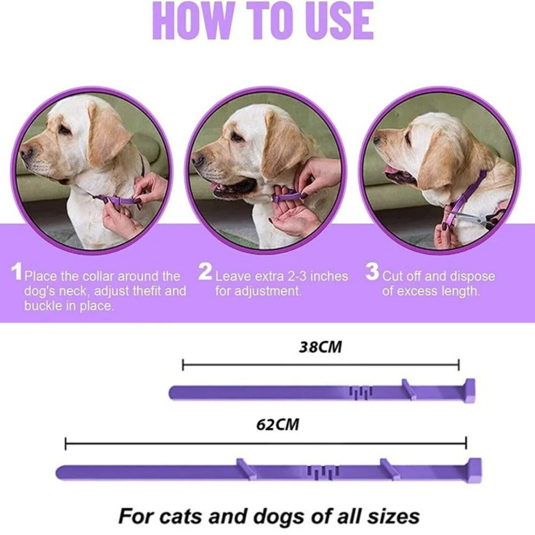 Soothing Comfort Collar for Pets