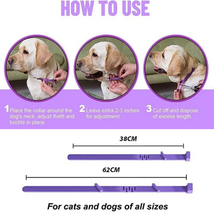 Soothing Comfort Collar for Pets