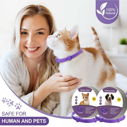 Soothing Comfort Collar for Pets