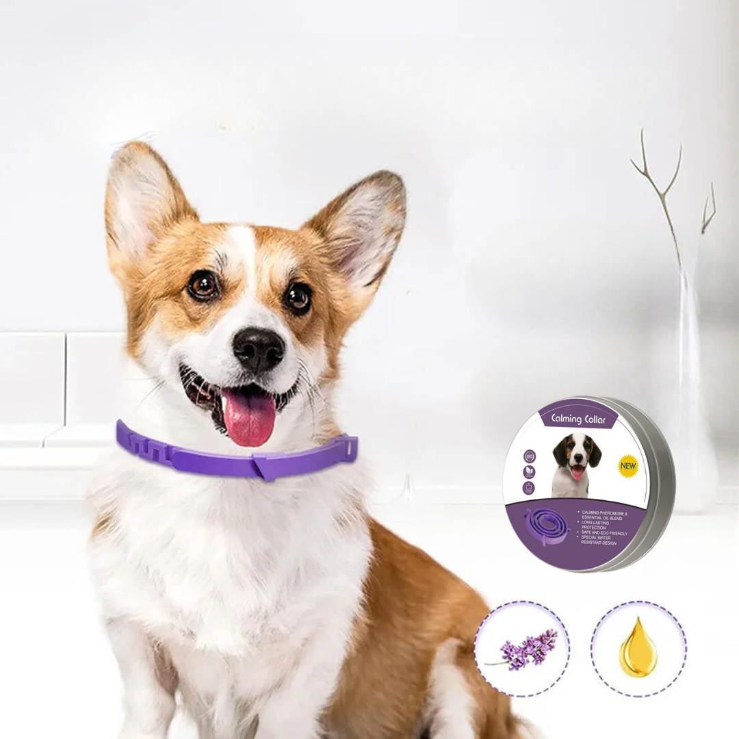 Soothing Comfort Collar for Pets - Befez