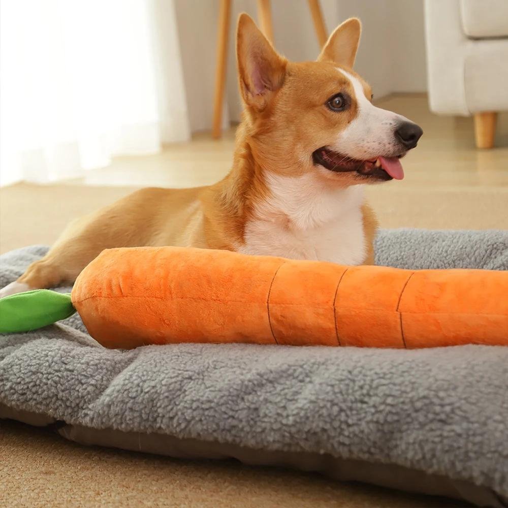 Fun Squeaky Dog Chew Toy - Befez