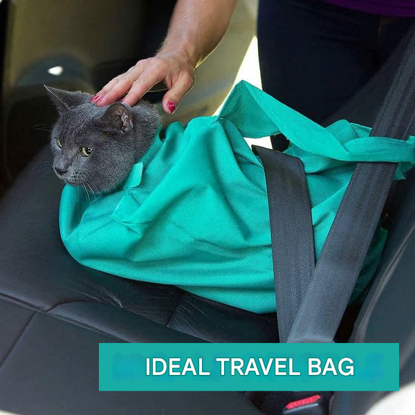 Cozy Pet Carrier for Safe Travel